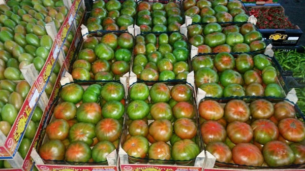 pomodori-2-agrozucca.jpg